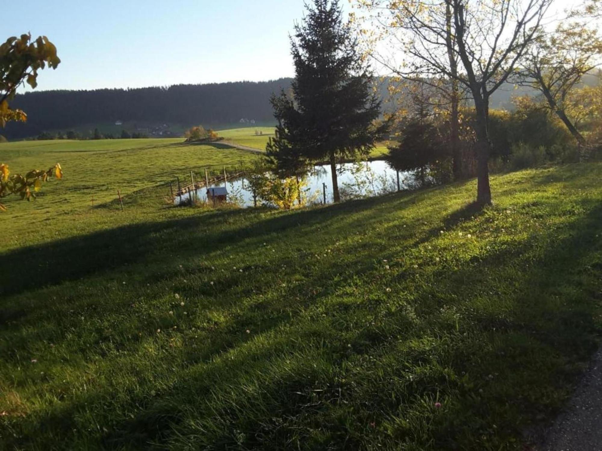 Lovely Apartment In The Black Forest Villingen-Schwenningen Exterior foto