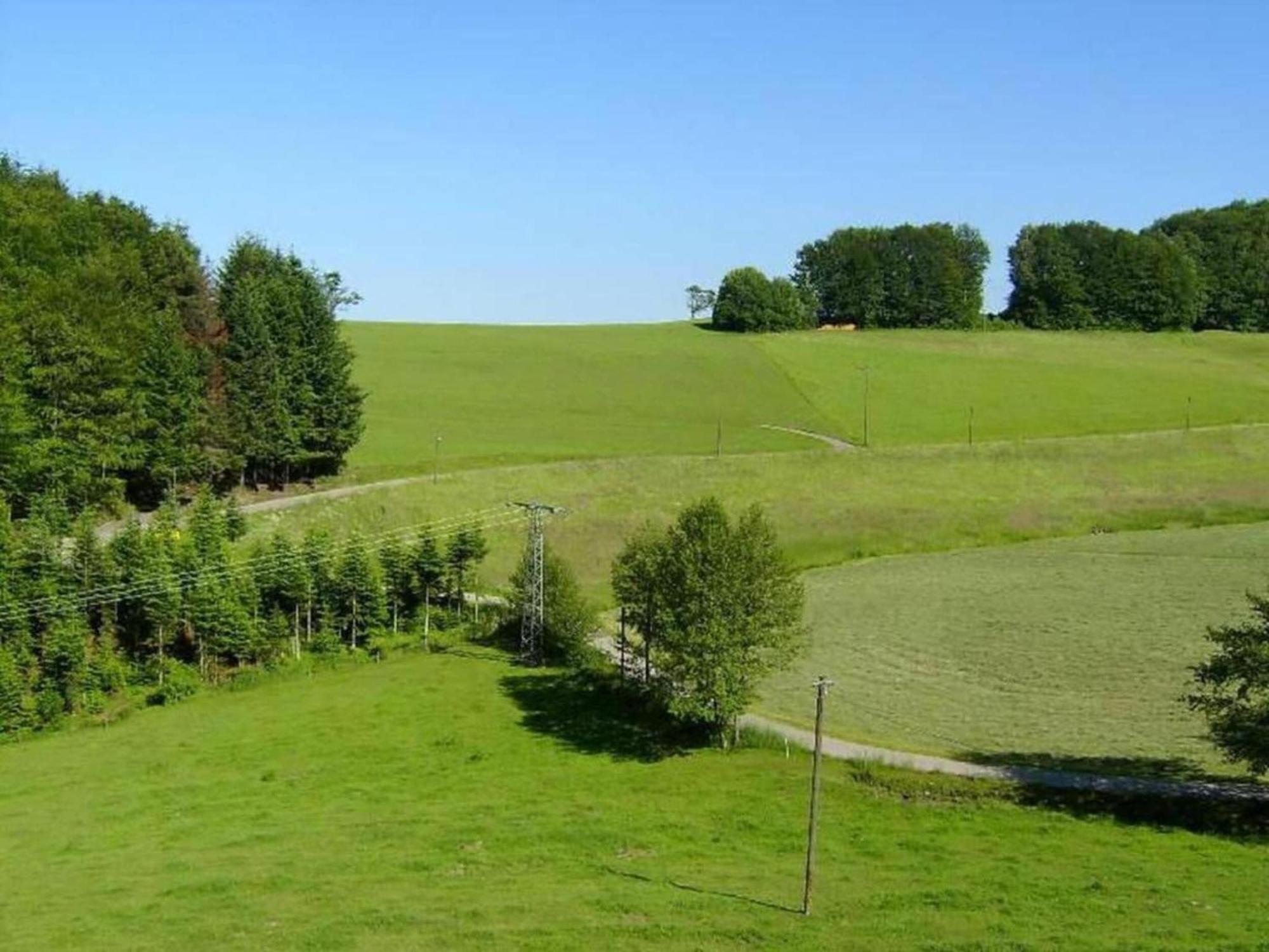 Lovely Apartment In The Black Forest Villingen-Schwenningen Exterior foto