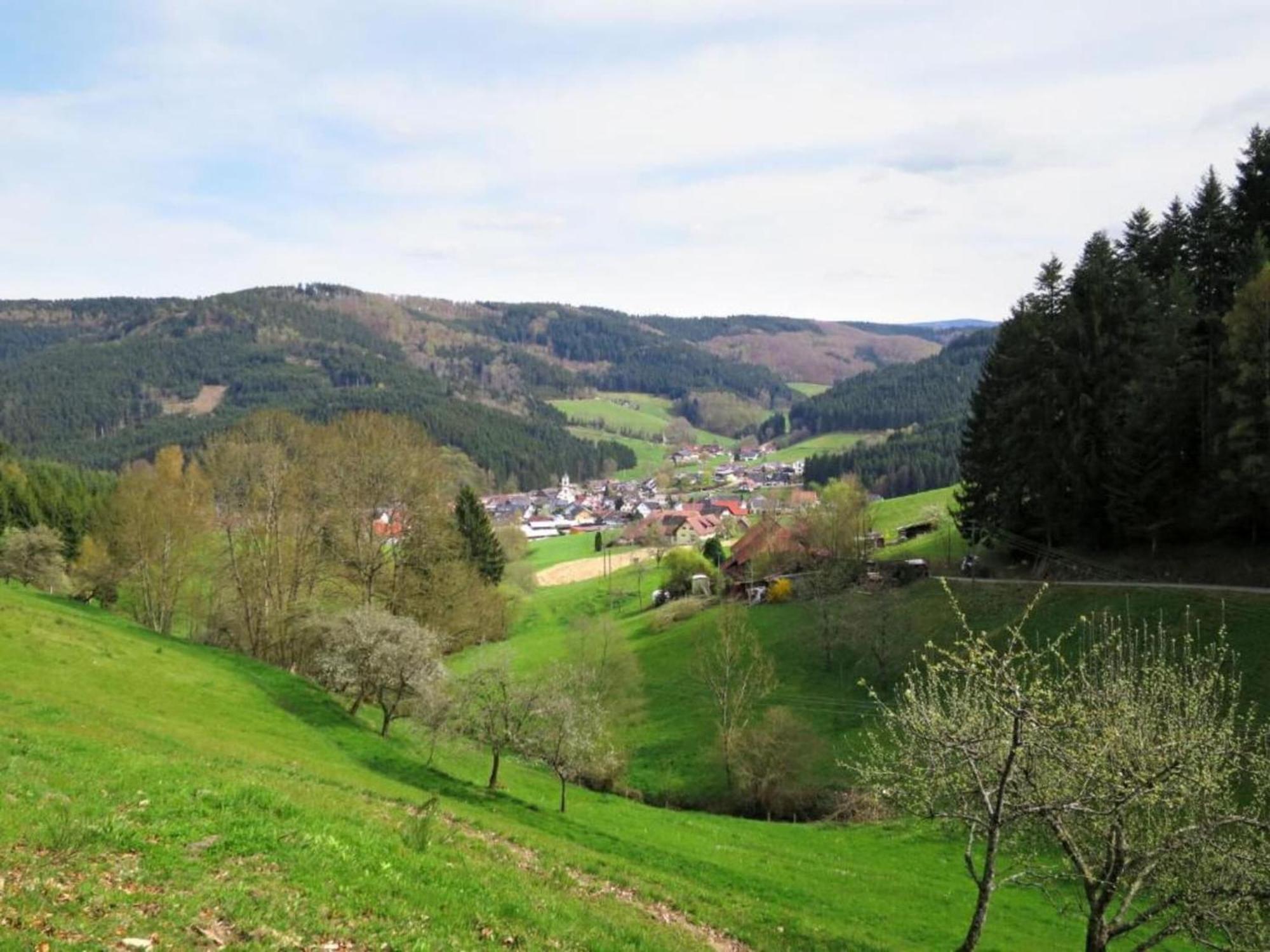 Lovely Apartment In The Black Forest Villingen-Schwenningen Exterior foto